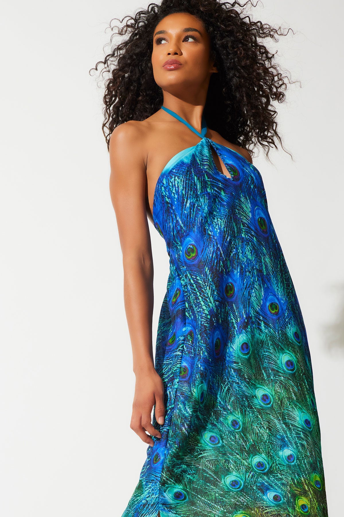 peacock design maxi dress Daphne Peacock Dress
